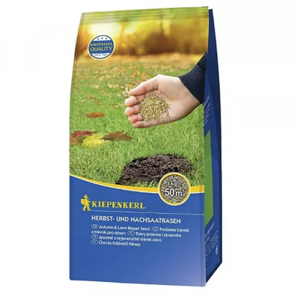 Semințe gazon pentru toamnă și reînsămânțare