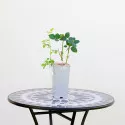 Trandafir teahibrid Purple Orient la ghiveci 2L