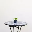 Hortensia macrophylla Bouquet Rose