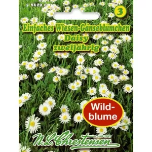 Semințe de Margaretă Daisy