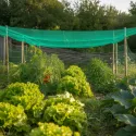 Plasă umbrire Raschel 80% LW