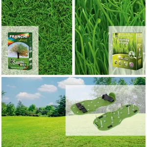 Pachet Gazon Perfect: Semințe 4 Seasons, Aerator & Îngrășământ Bio