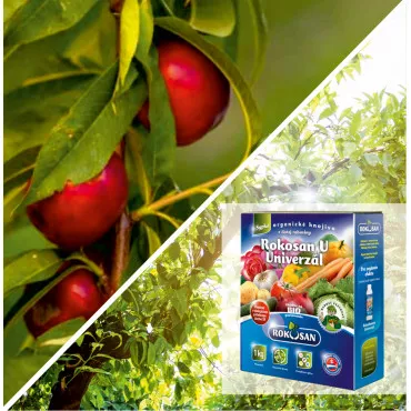 Pachet Livadă Urbană: Nectarin columnar Aeris & Îngrășământ Bio