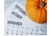 Calendar de plantări de toamnă: ce se ...
