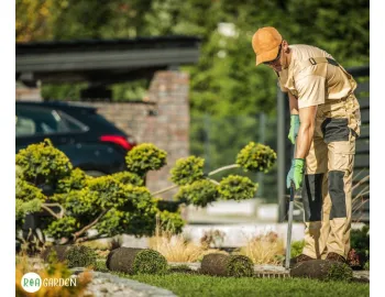Ce plantăm toamna? 7 plante care merită puse în grădină din septembrie