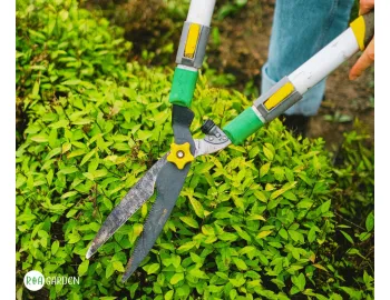 Cum alegi foarfeca de grădină potrivită? Ghid pentru fiecare tip de tăiere