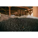 Îngrăşământ natural, organic, din găinaţ, găleata 10 L