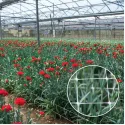 Plasă suport pentru plante 120/8