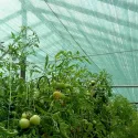 Plasă umbrire Raschel 30%