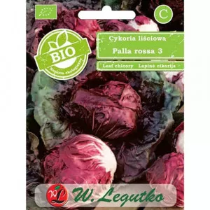 Semințe de cicoare roșie (radicchio) Palla Rossa