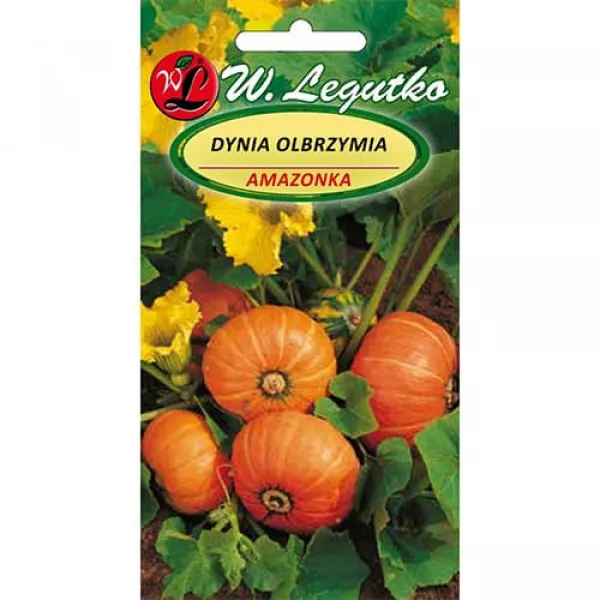 Semințe de dovleac gigant Amazon