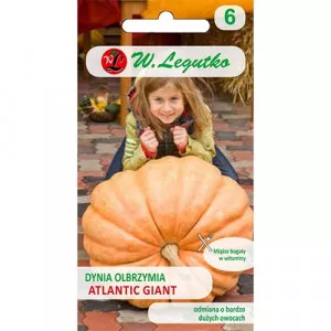 Semințe de dovleac gigant Atlantic Giant