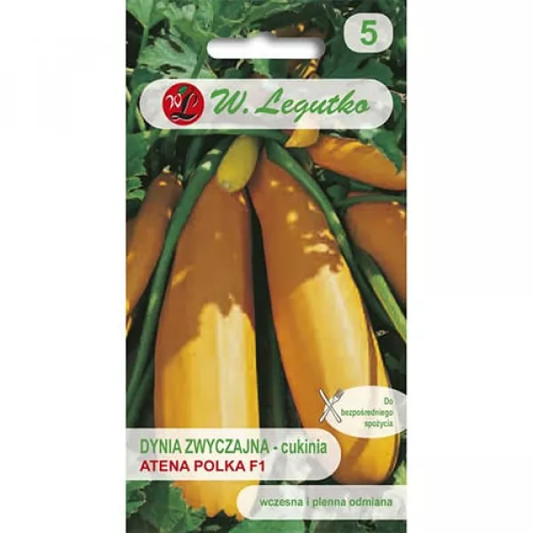 Semințe de dovlecel zucchini Atena Polka F1