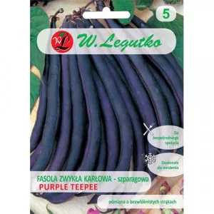 Semințe de fasole Purple Teepee