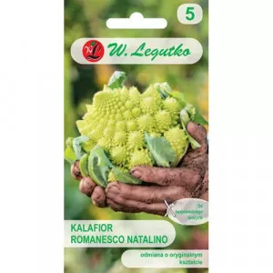 Semințe de conopidă Romanesco