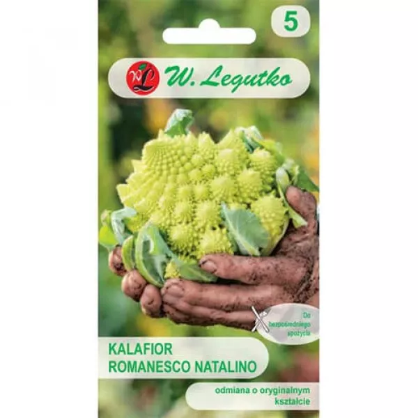 Semințe de conopidă Romanesco Semințe de conopidă Romanesco