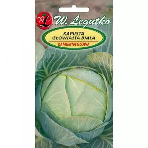 Semințe de varză Kamienna Glowa 2
