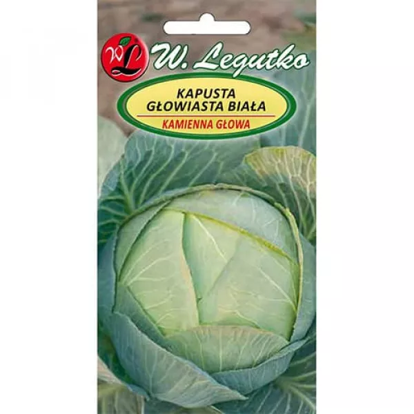Semințe de varză Kamienna Glowa 2 Semințe de varză Kamienna Glowa 2