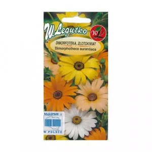 Semințe de margaretă africană Summertime Mix