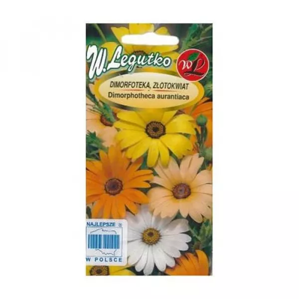 Semințe de margaretă africană Summertime Mix