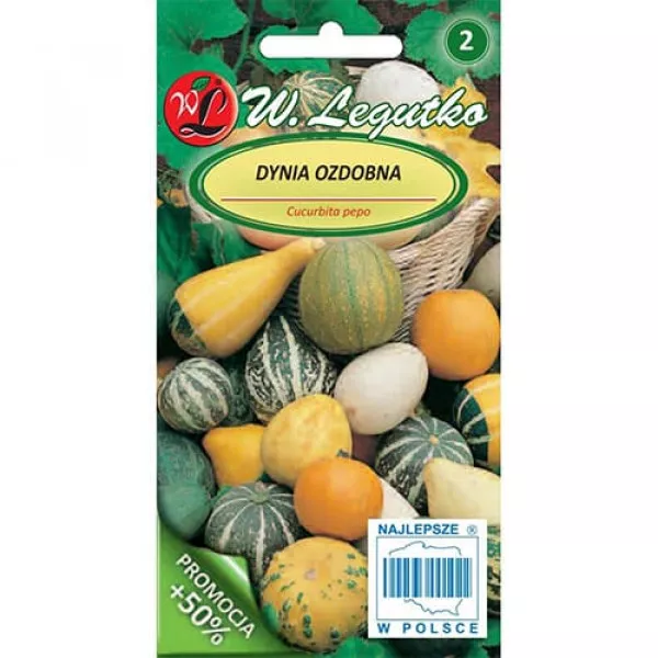 Semințe de dovleac decorativ, mix multicolor Semințe de dovleac decorativ, mix multicolor