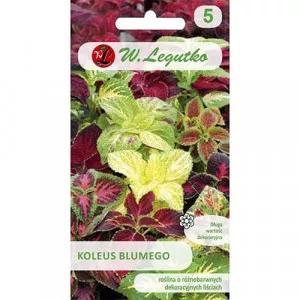 Semințe de coleus Standard, mix multicolor