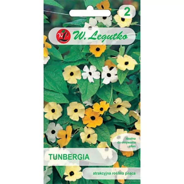 Semințe de thunbergia, mix multicolor
