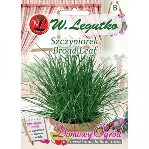 Semințe de arpagic Broad Leaf