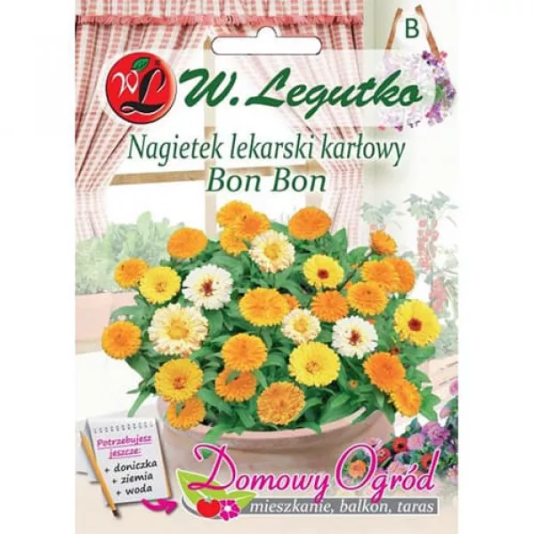 Semințe de gălbenele Bon Bon, mix multicolor