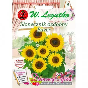 Semințe de florea soarelui decorativă Baver