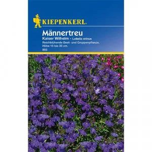 Semințe de lobelia Kaiser Wilhem