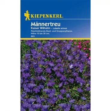 Semințe de lobelia Kaiser Wilhem