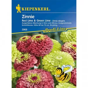 Semințe de zinnia (Cârciumăreasă) Red & Green Lime