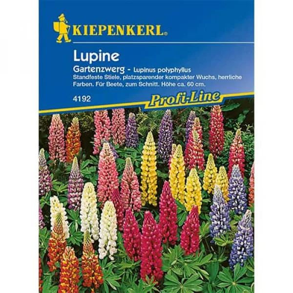 Semințe de lupin pitic de grădină