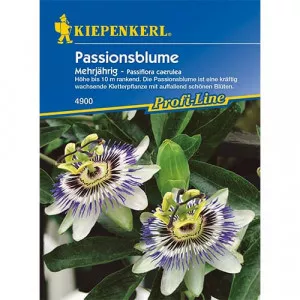 Semințe de floarea pasiunii (Passiflora)