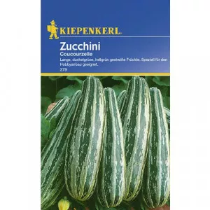 Semințe de dovlecel zucchini Courcourcelle von Tripolis