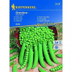 Semințe de mazăre Grandera