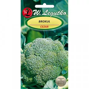 Semințe de broccoli Cezar