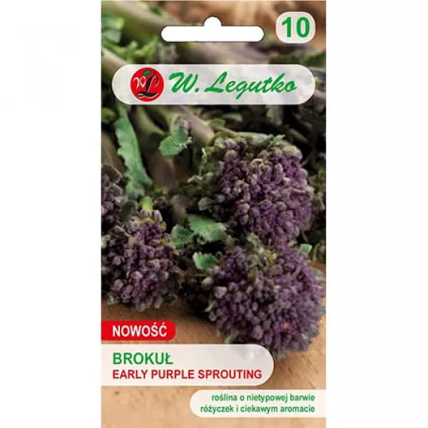 Semințe de broccoli Early Purple Semințe de broccoli Early Purple
