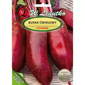 Semințe de sfeclă Cylindra