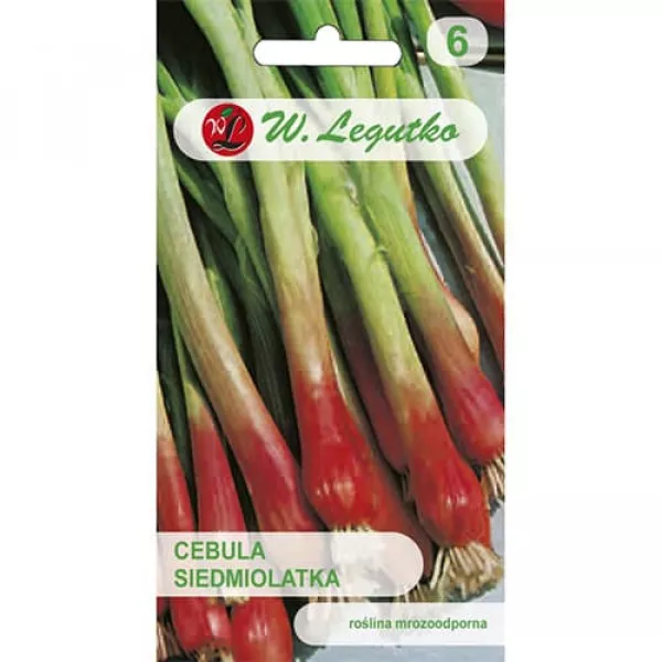 Semințe de ceapă verde Red Toga