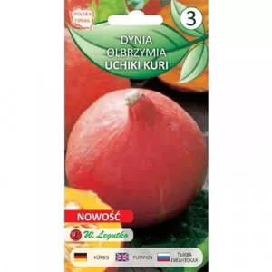 Semințe de dovleac Uchiki Kuri (Hokkaido)