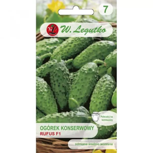 Semințe de castraveți cornichon Rufus F1