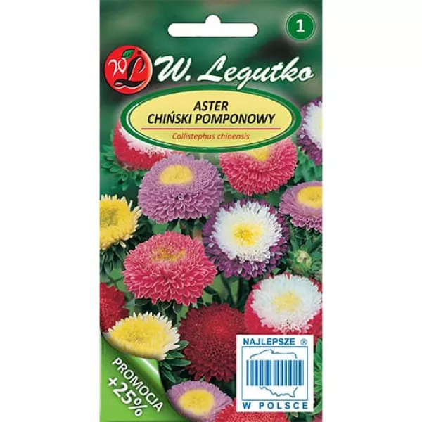 Semințe de ochiul boului pompon, mix multicolor