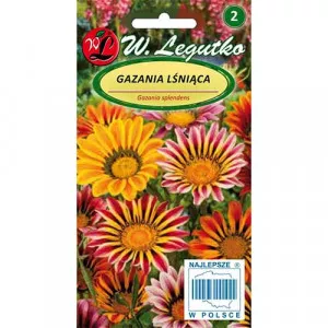 Semințe de gazania (Floarea comoară), mix multicolor
