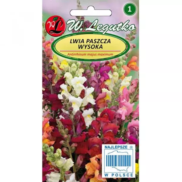 Semințe de gura leului, mix multicolor
