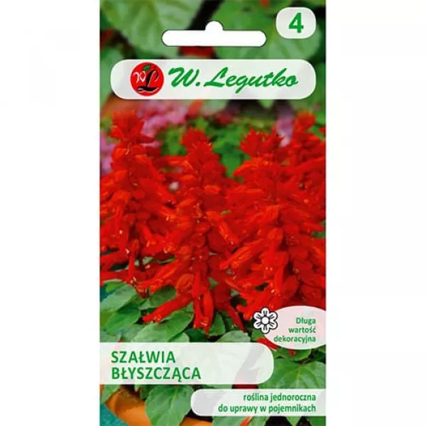 Semințe de salvie decorativă roșie