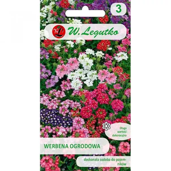 Semințe de verbena de grădină, mix multicolor