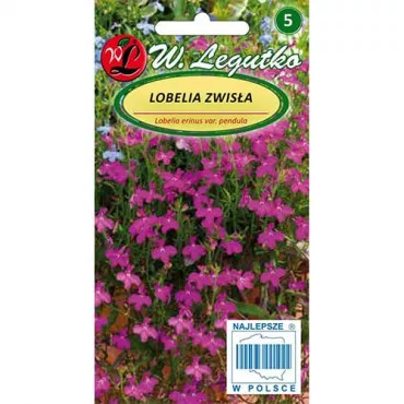Semințe de lobelia curgătoare de ghiveci