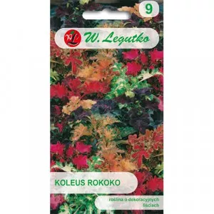 Semințe de coleus Rokoko, mix multicolor